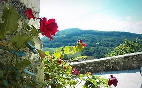 Guest House Il Borgo Di Sempronio